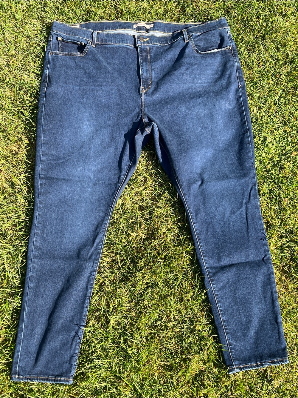 Levi’s 721 High Rise Skinny (24W)